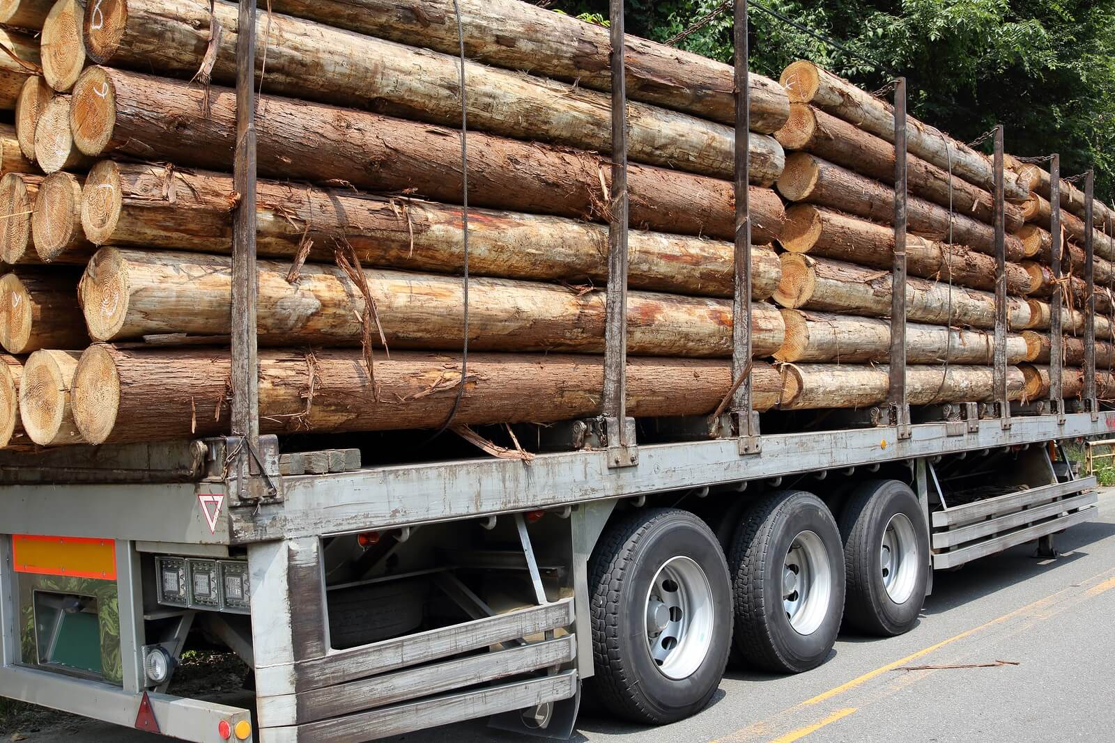 Timber trailer and stack of logs at a forest logging site